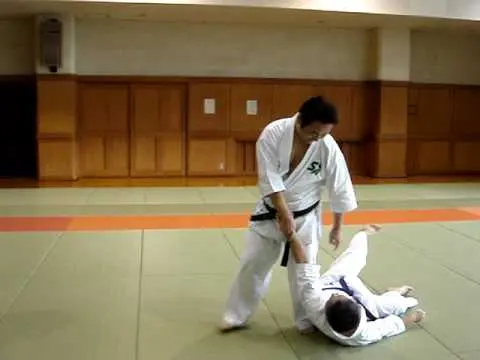 Превью видео: Aikido S.A.