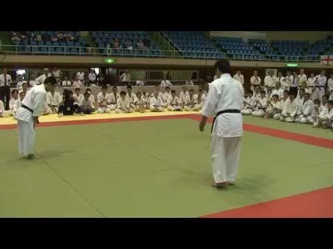 Превью видео: Aikido